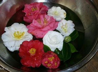 5854 Dickson Rd, Jacksonville, FL 32211