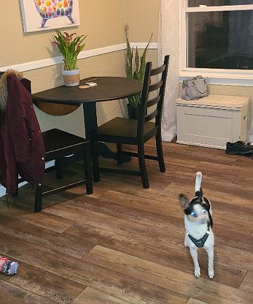 5th image of 87 N Pershing Ave #89