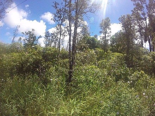 5th image of Ainaloa Dr