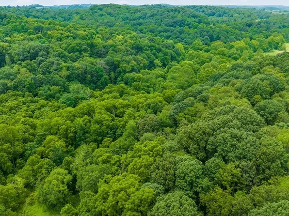 Crawford Ln, New Concord, OH 43762