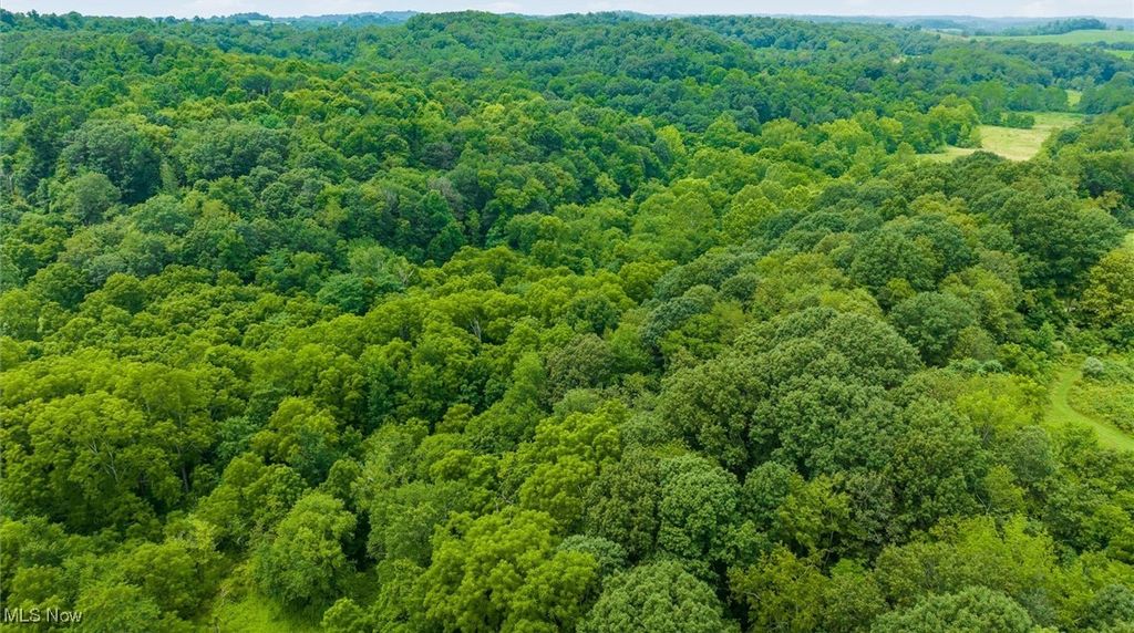 Real estate listing image