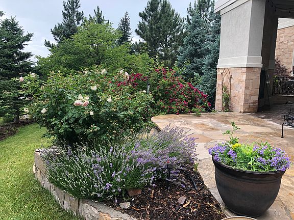 Full walkout lower level