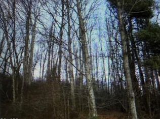 Tony Holder Rd, Lowgap, NC 27024