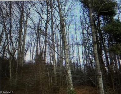 Tony Holder Rd, Mount airy, NC, 27024