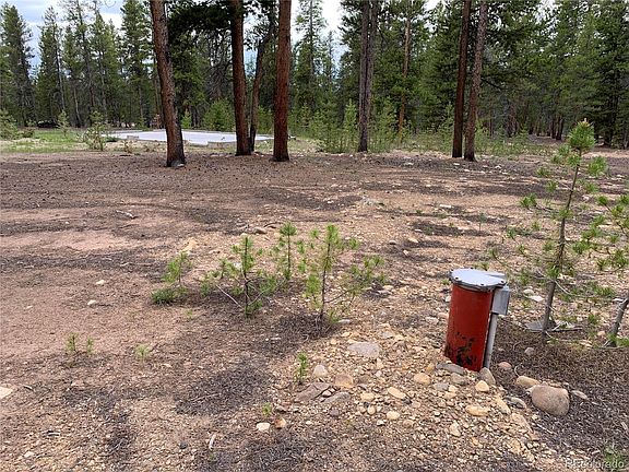 5th image of 501 Mountain Pines Court