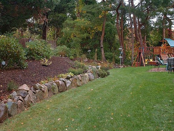 Backyard 2