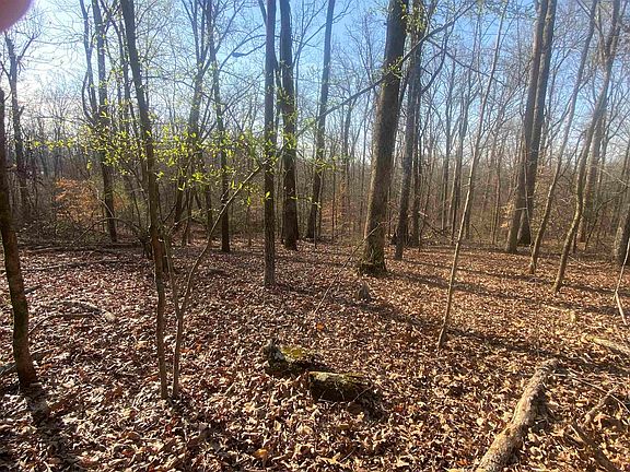 3rd image of 5405 Coffee Landing Rd