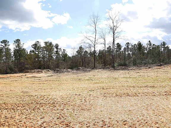 4th image of 5 Creek Bluff Dr