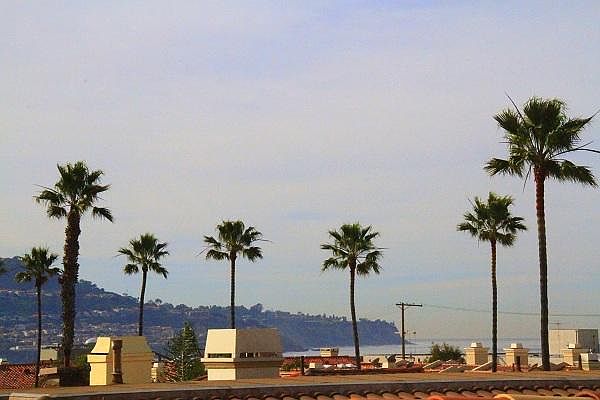 1st image of 1200 S Catalina Ave #431