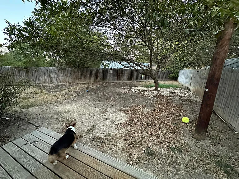260 Mill Rd #A — Photo 19