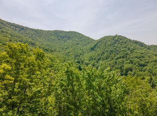 2 Corbin Cove Dr #3, Franklin, NC 28734