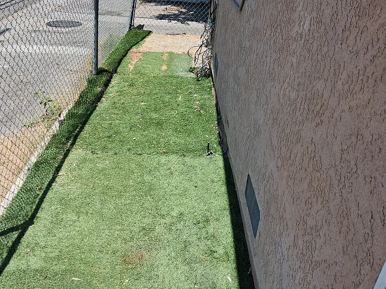 13319 Judd St — Photo 7