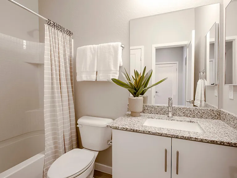 Viceroy Luxury Townhomes - New Construction — Photo 9
