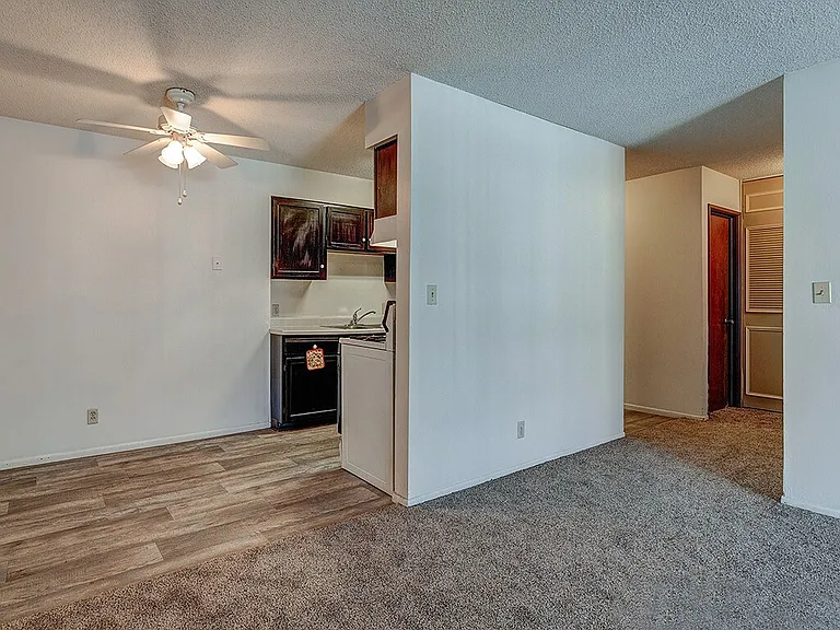 Lush Carpet and Easy to Clean Floring