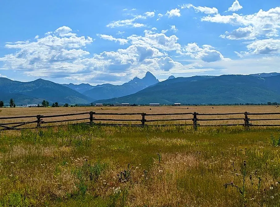 1 bed, 1.5 bath, 1480 sqft, $3,000 — Photo 4