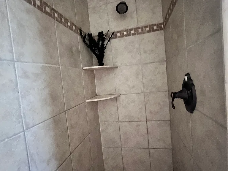 shower master
