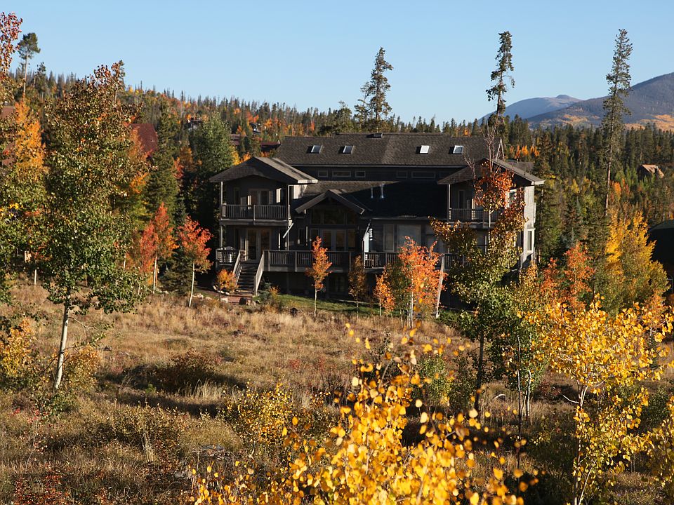 Forest side view