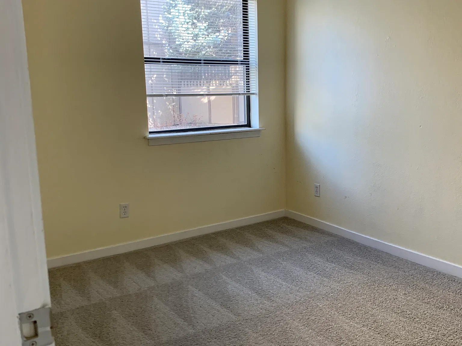 2 bed, 784 sqft, $1,495 — Photo 3