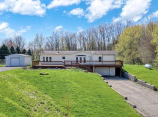 10430 Coon Hill Rd, Munith, MI 49259