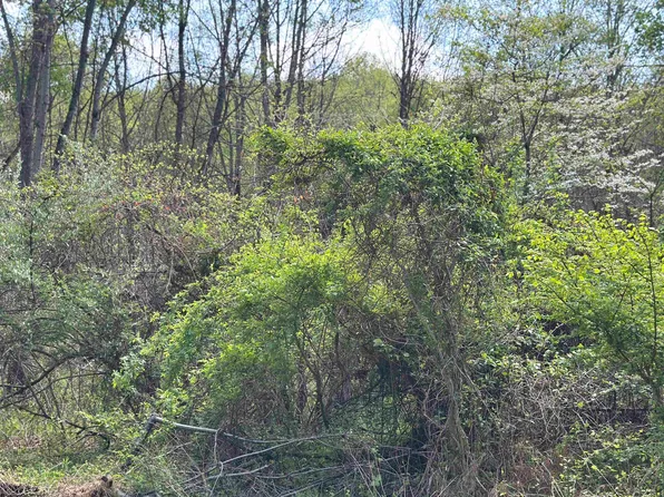 Rush Rd, Carmichaels, PA 15320