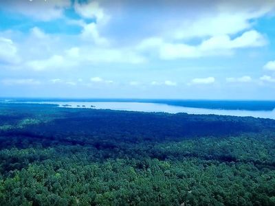 0 Fm 980 Rd, Pointblank, TX, 77364