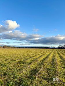 0 James Brooks Rd, Atmore, AL, 36502