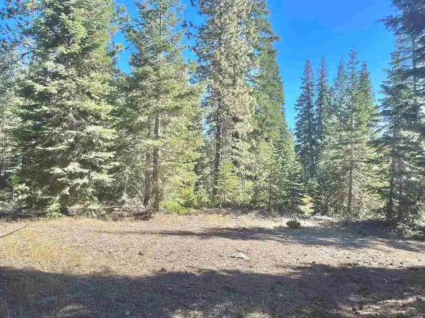 LOT 37 Echo Ct, McCloud, CA 96057