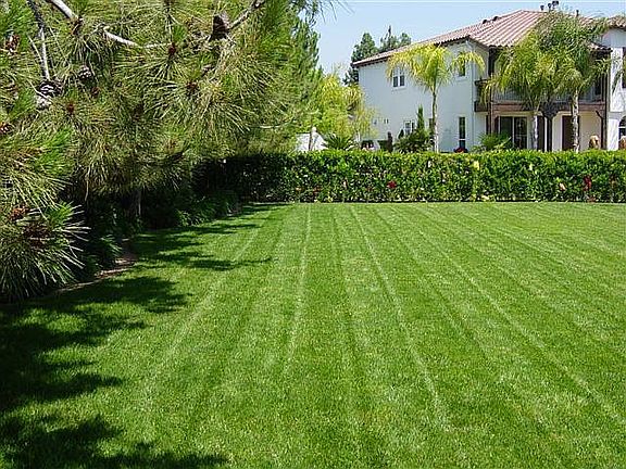 front lawn cul de sac