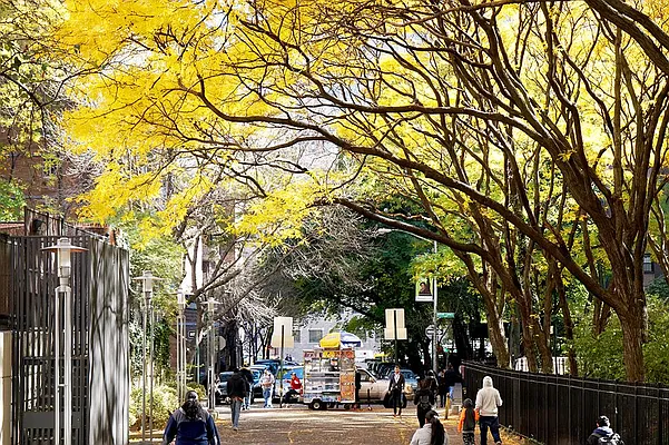 Rented by Pinnacle City Living | media 233