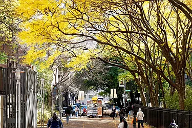 Rented by Pinnacle City Living