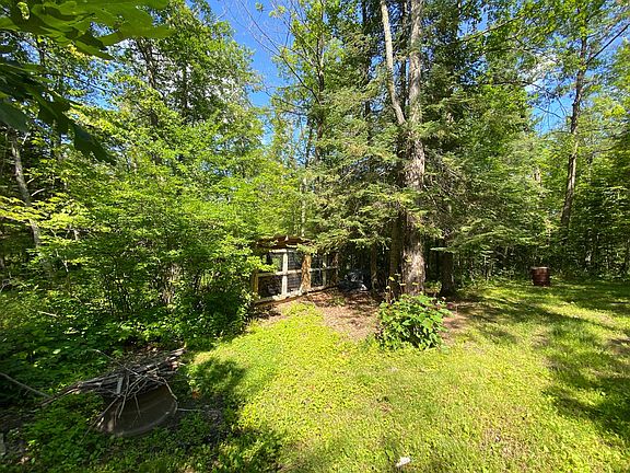 5th image of 33567 State Highway 47 Lot Wp001