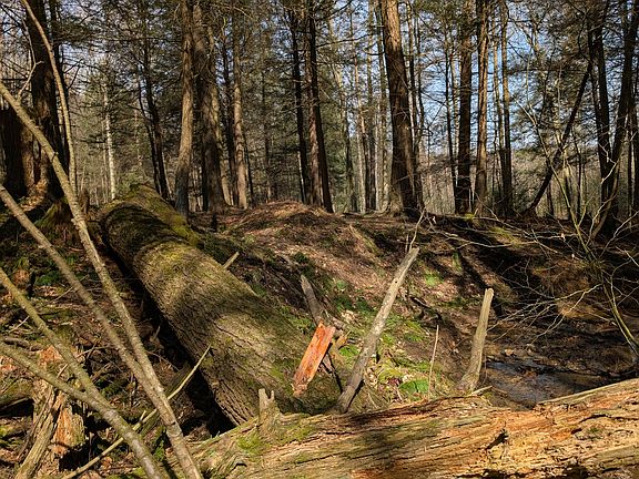 3rd image of Friendly Acres Rd