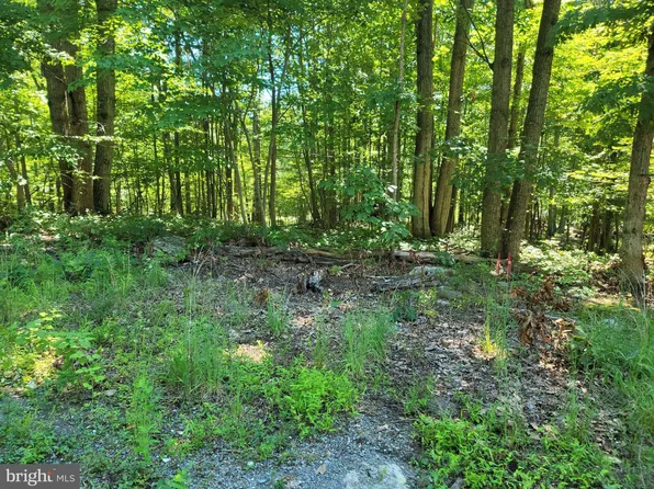 LOT 10 Raccoon Dr, Winchester, VA 22602