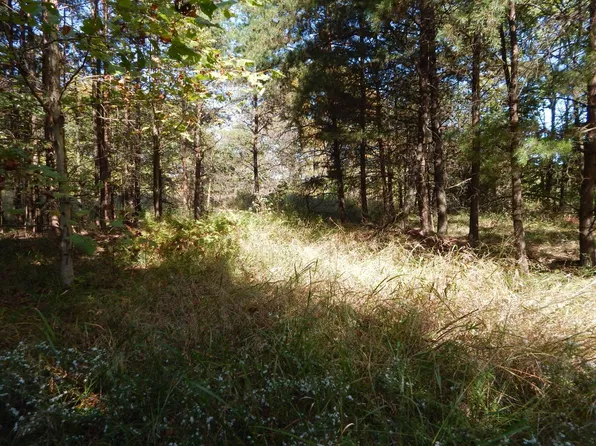 0 C Rd #15/7, Cairo, WV 26337