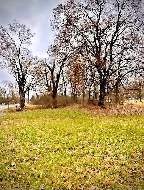 1st image of 0 Bellefontaine Ave