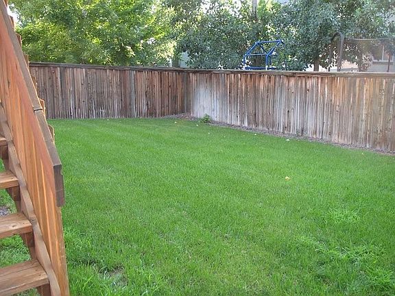 Back yard