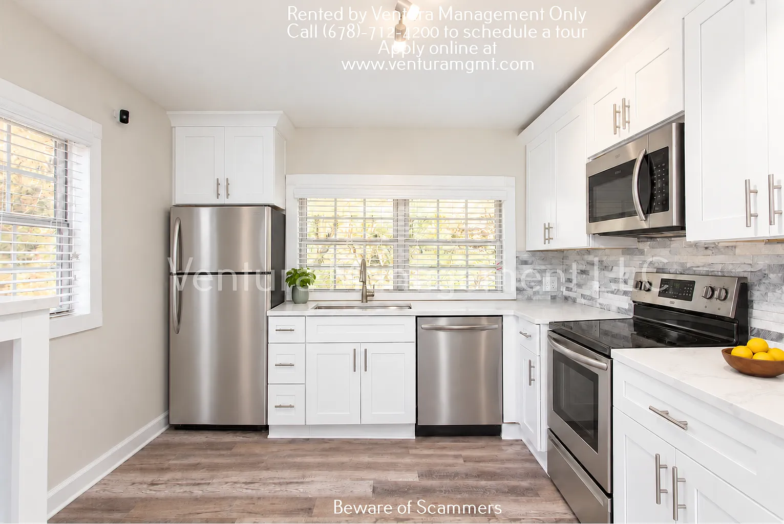 2 bed, 704 sqft, $1,390 — Photo 3