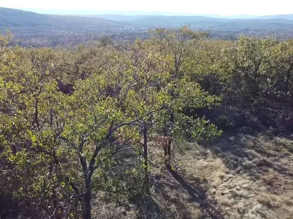 Caughern Ln, Heavener, OK 74937