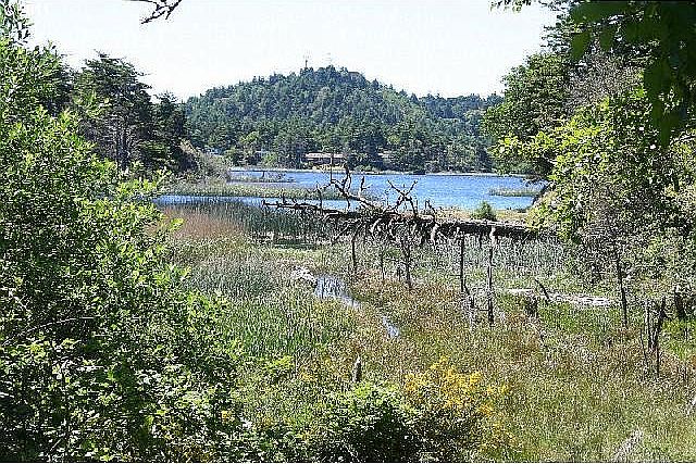 View from deck of house.