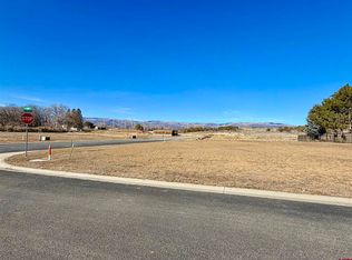 505 SE Pine St, Cedaredge, CO 81413