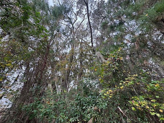 4th image of 0 Canopy Ln Lot 139