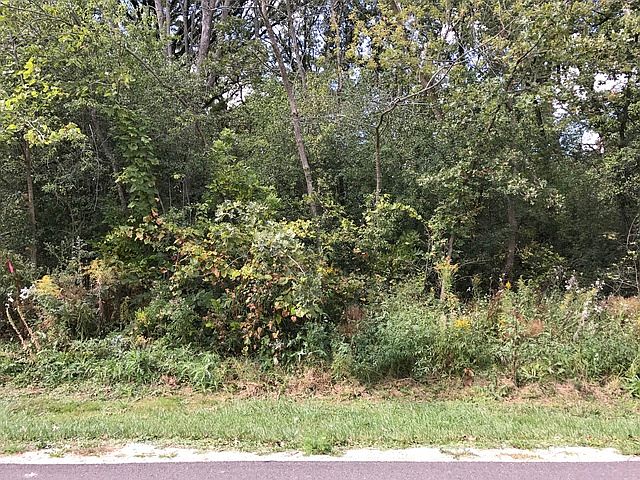 1st image of 40240 N Dell Dr