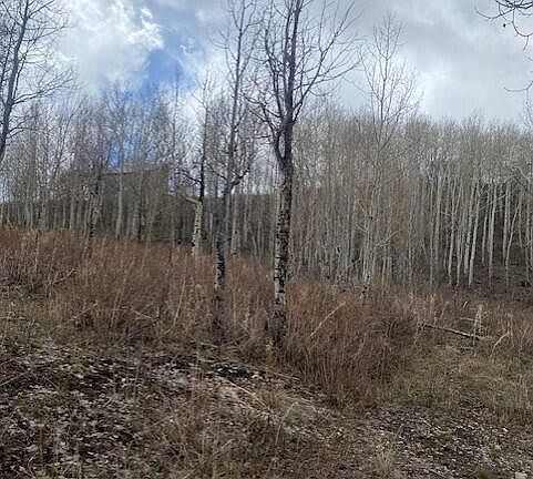 3rd image of 1117 W Arapaho Dr #D140