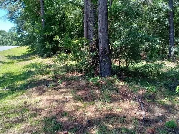 0 W Wooten St, Mount Vernon, GA 30445