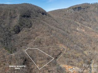 LOT 2130 Weaverly Ln, Mill Spring, NC 28756