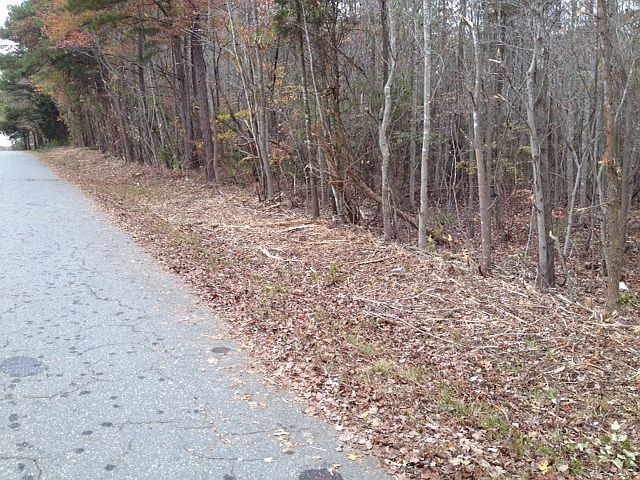 2nd image of 0 Bennett Farm Road