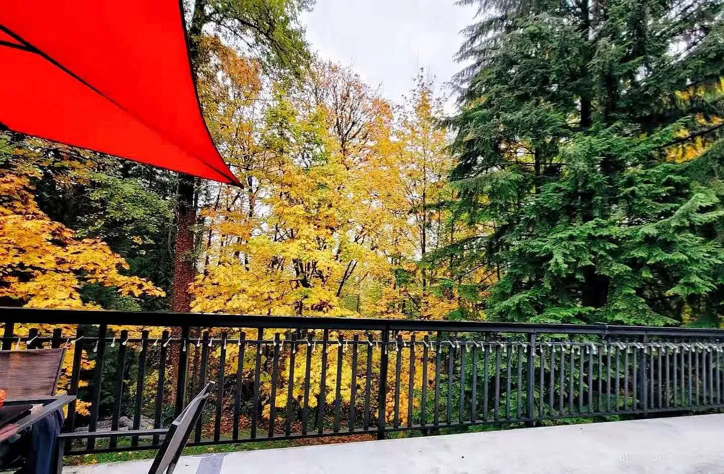 1 bed, 870 sqft, $1,600 — Photo 4