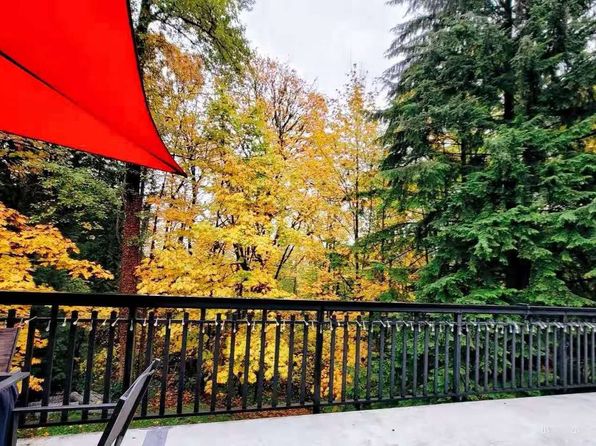 1 bedroom rental in Burnaby — photo 4