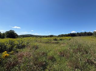 175 Porter Hollow Rd, Pt Crane, NY 13833