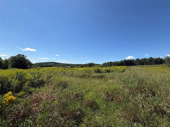 175 Porter Hollow Rd, Pt Crane, NY 13833